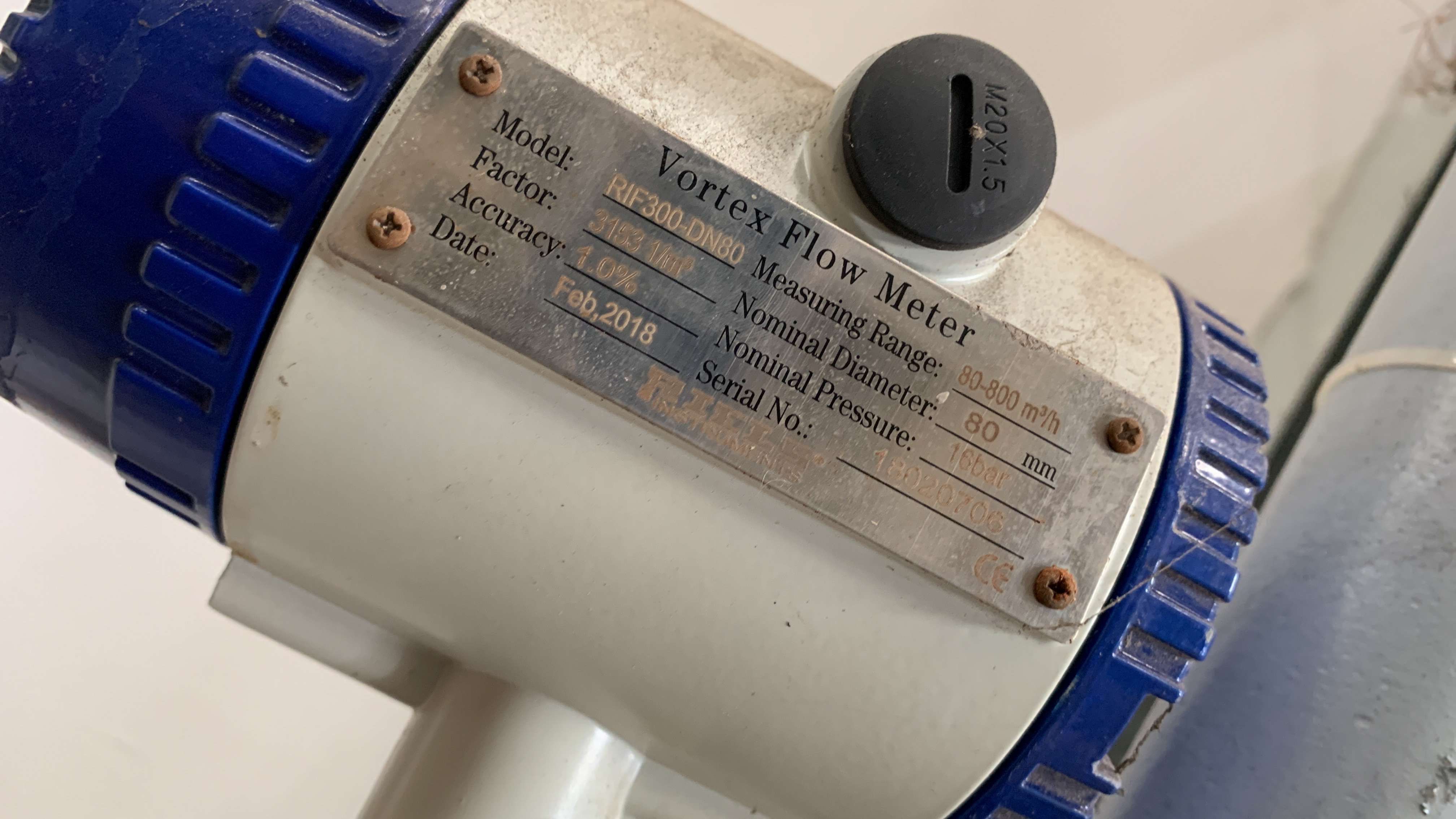 Đồng hồ đo lưu lượng khí CNG RIF300-DN80 hãng Riel